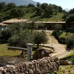 Sa Mendula Oliena
